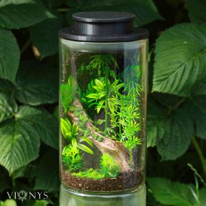 Fantasy LED lamp with bamboo and vegetation inside.