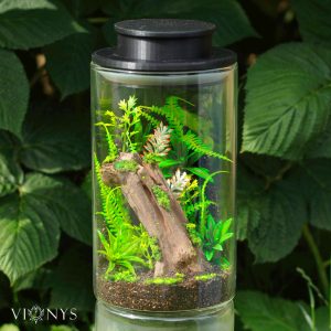 Fantasy LED lamp with trunk and vegetation inside.